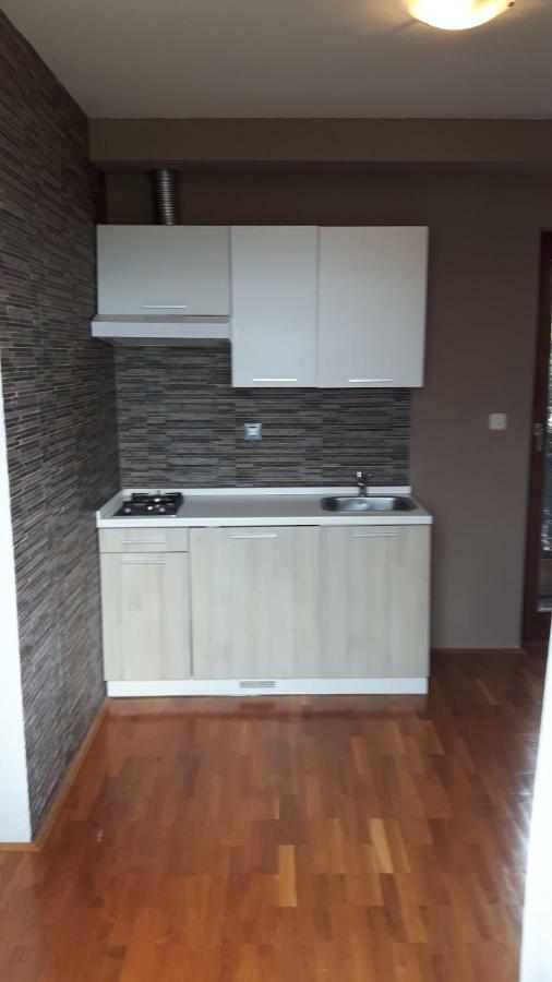 شقة Lili'S House Ližnjan المظهر الخارجي الصورة