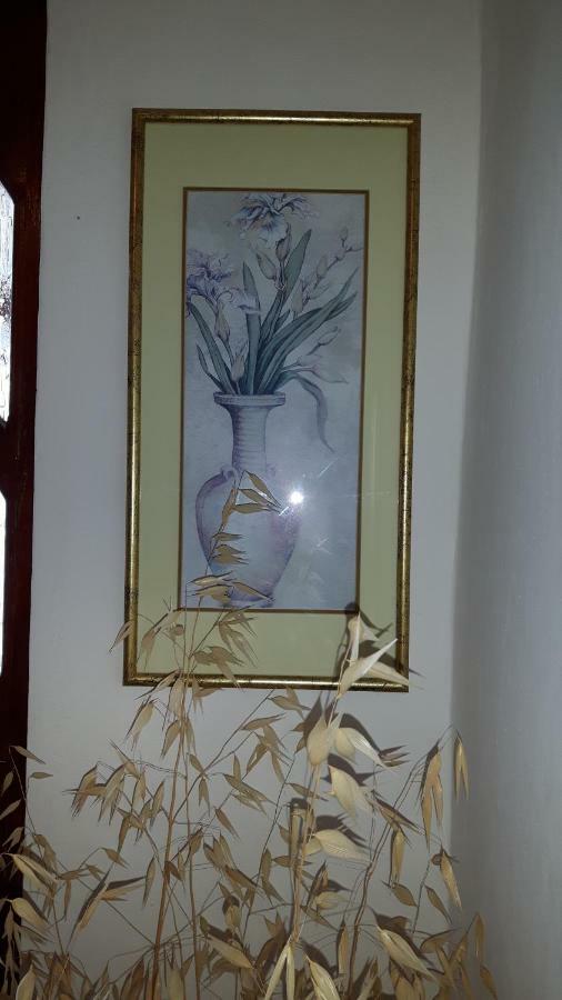 شقة Lili'S House Ližnjan المظهر الخارجي الصورة